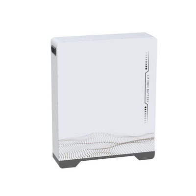 51.2V 200Ah LiFePO4 Battery Pack per lo stoccaggio di energia sostenibile e di lunga durata