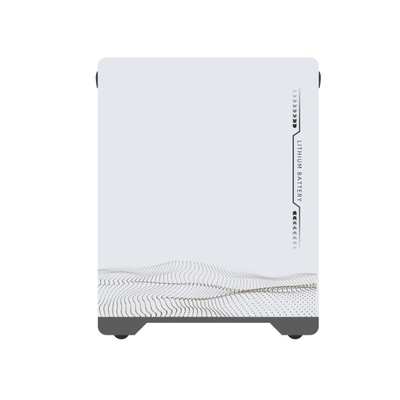 15kWh LiFePO4 batteria 51.2V 48V 280Ah per elettrodomestici